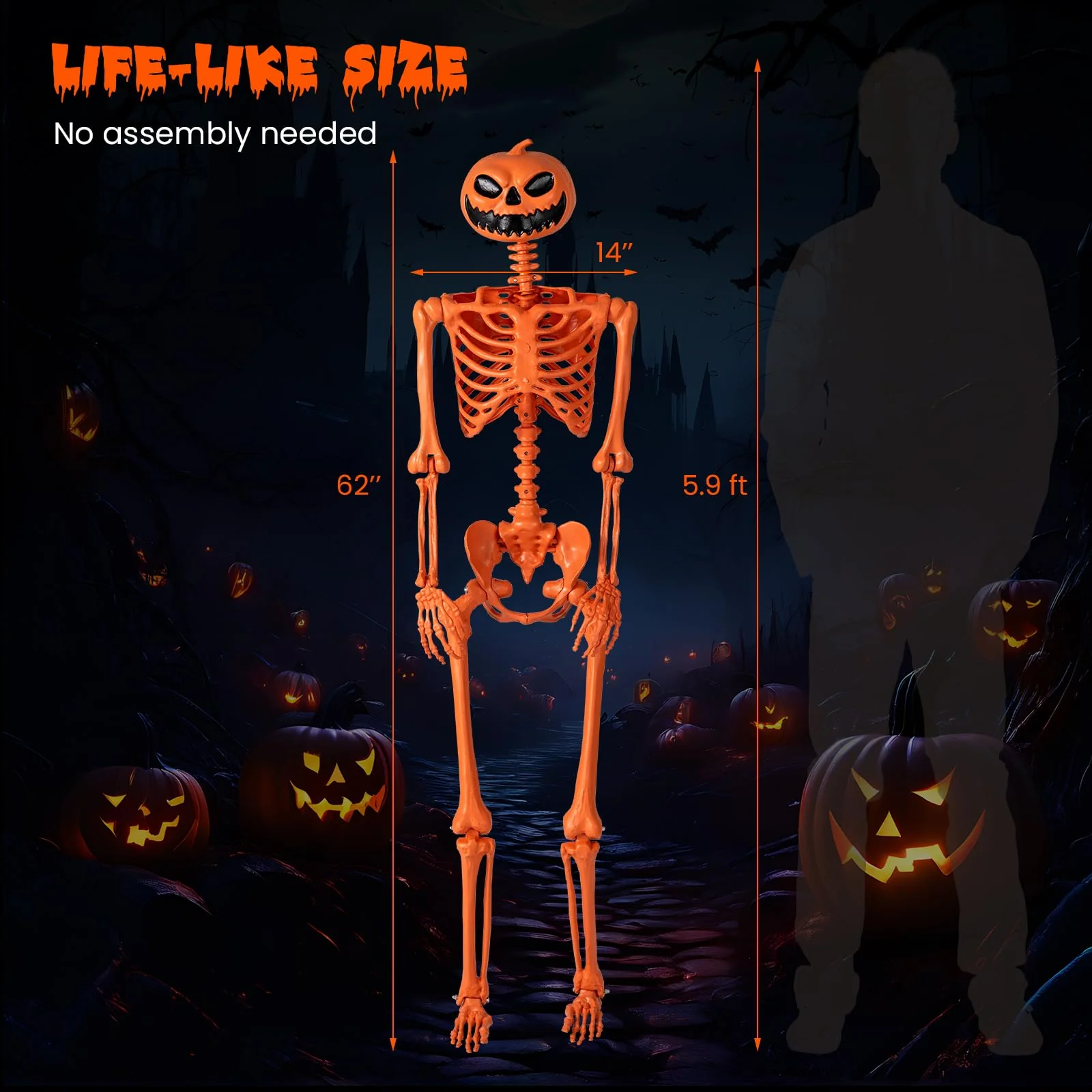 Thumbnail 8